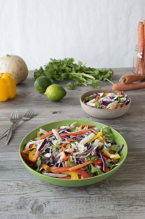 Red Cabbage Salad with Jicama and Peppers | thefirstyearblog.com