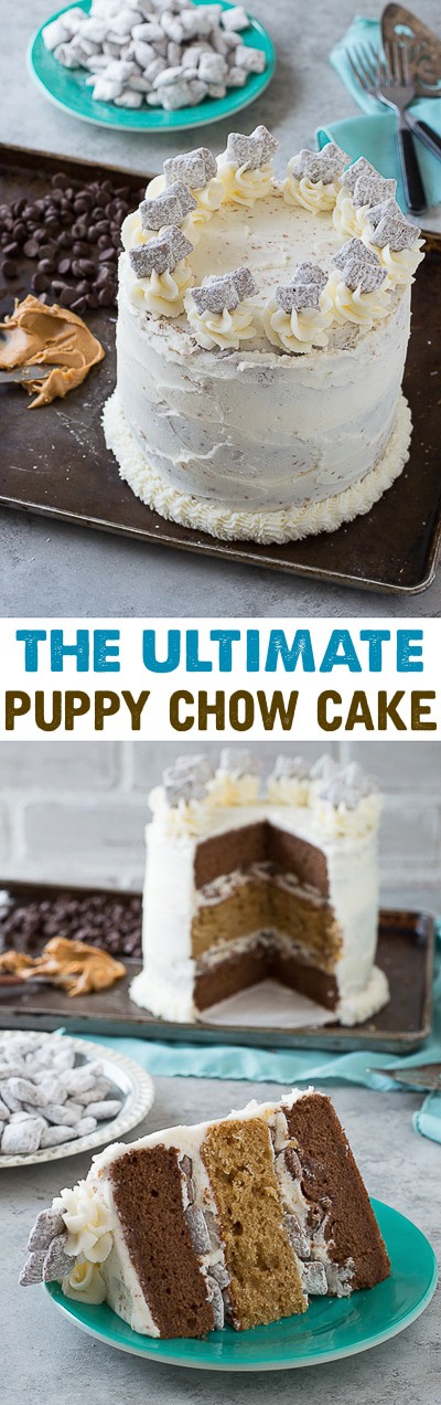 Puppy Chow Cake - chocolate and peanut butter cake loaded with puppy chow in between each layer!