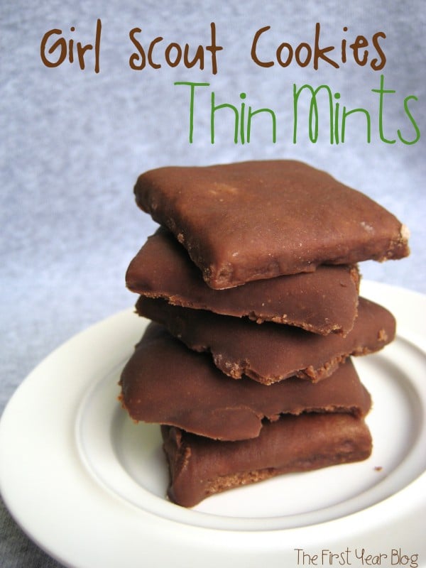 Thin Mints | The First Year