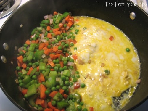 chicken-fried-rice-3
