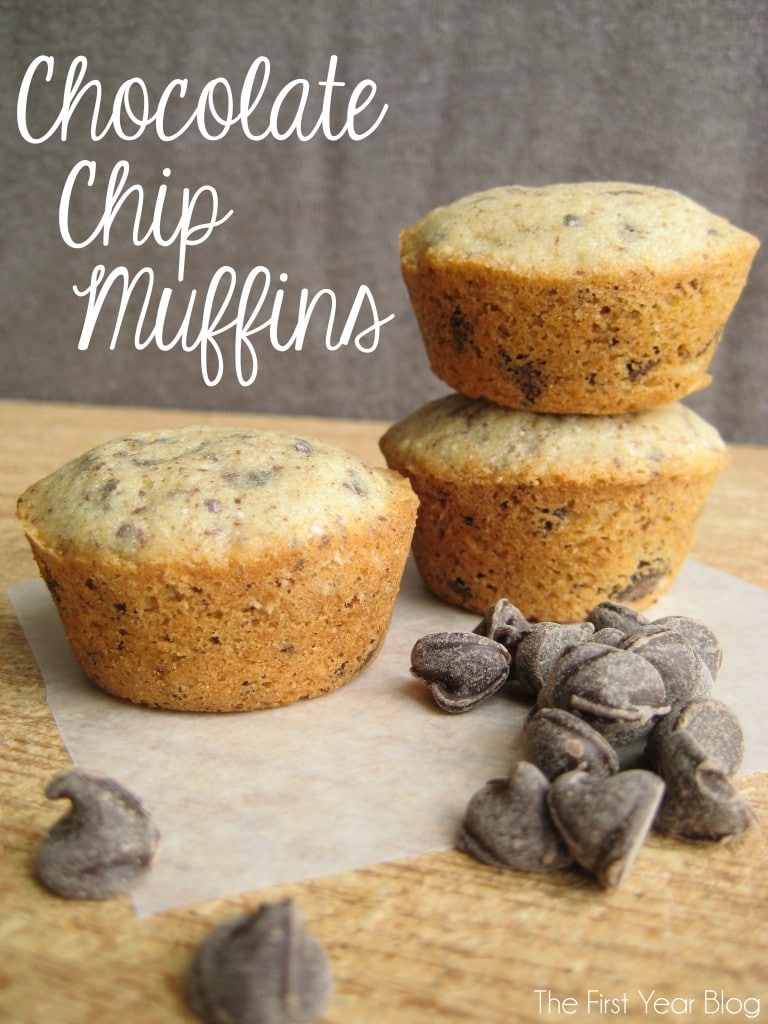 chocolate-muffin-recipe