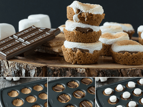 https://thefirstyearblog.com/wp-content/uploads/2013/08/smores-bites-3-500x375.png