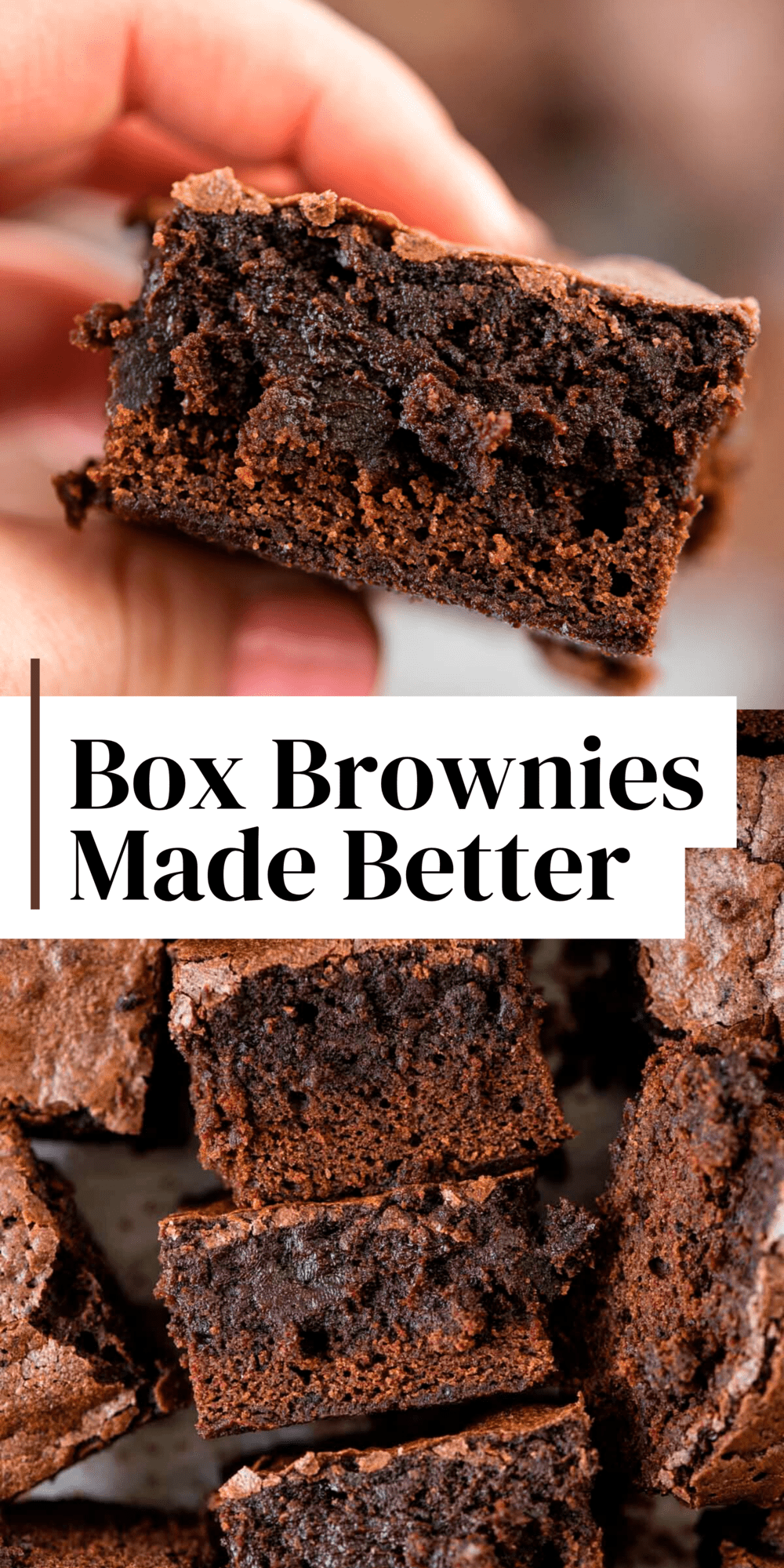 Doctored up Brownies Box The First Year