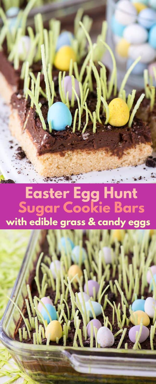 Egg Hunt Sugar Cookie Bars