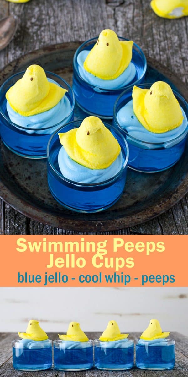 swimming peeps jello cups in clear glasses on metal tray 