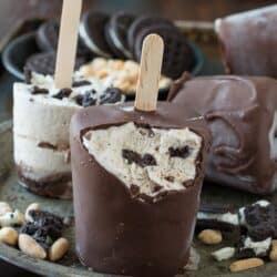 Mocha Buster Bars - homemade mocha ice cream, oreos, peanuts, and hot fudge all covered in magic shell!