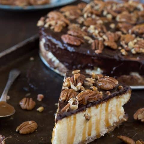 Turtle Cheesecake