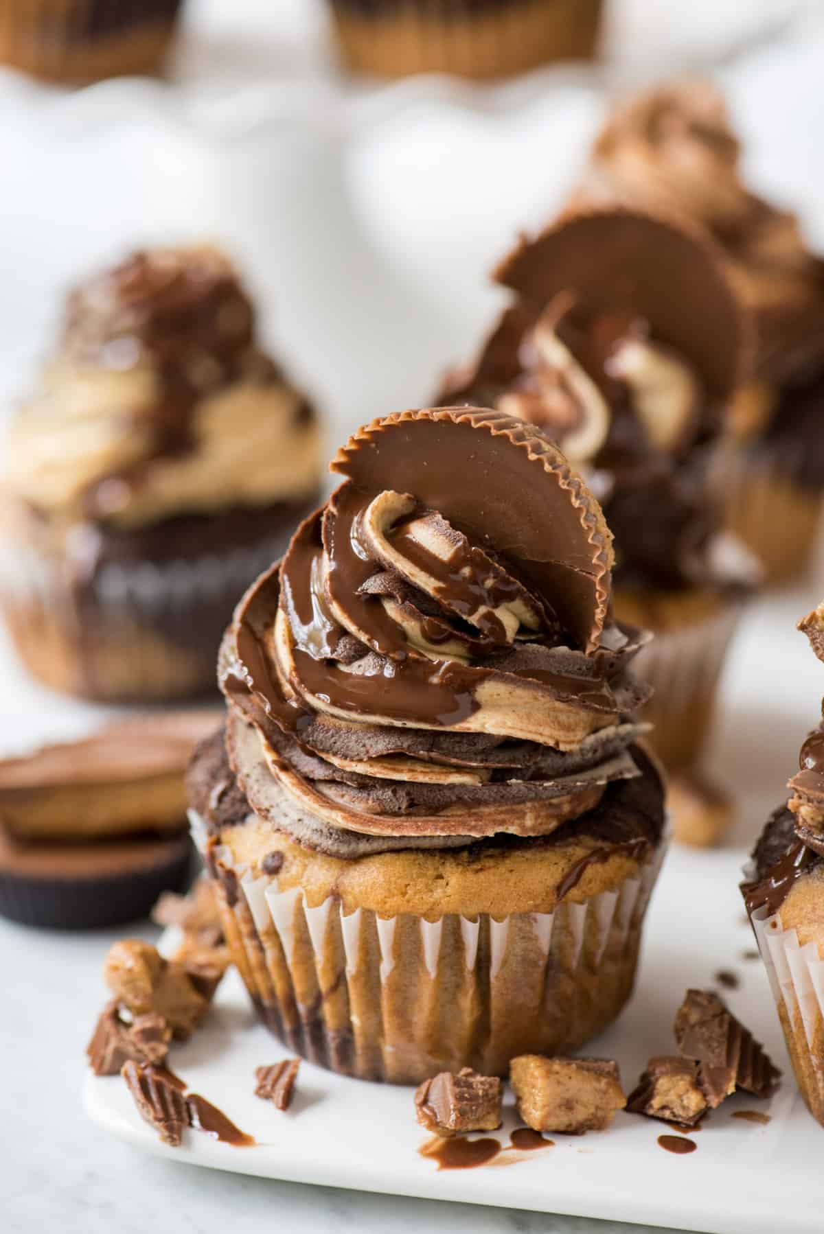 chocolate peanut butter cupcake with swirled chocolate peanut butter frosting topped with a reese’s cup and drizzled with chocolate sauce on white background