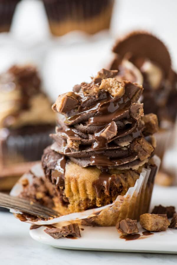 chocolate peanut butter cupcake with swirled chocolate peanut butter frosting topped with chopped reese’s and drizzled with chocolate sauce on white background