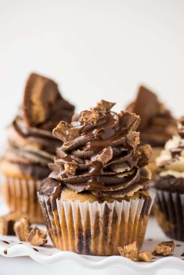 chocolate peanut butter reese’s cupcakes on white tray with white background