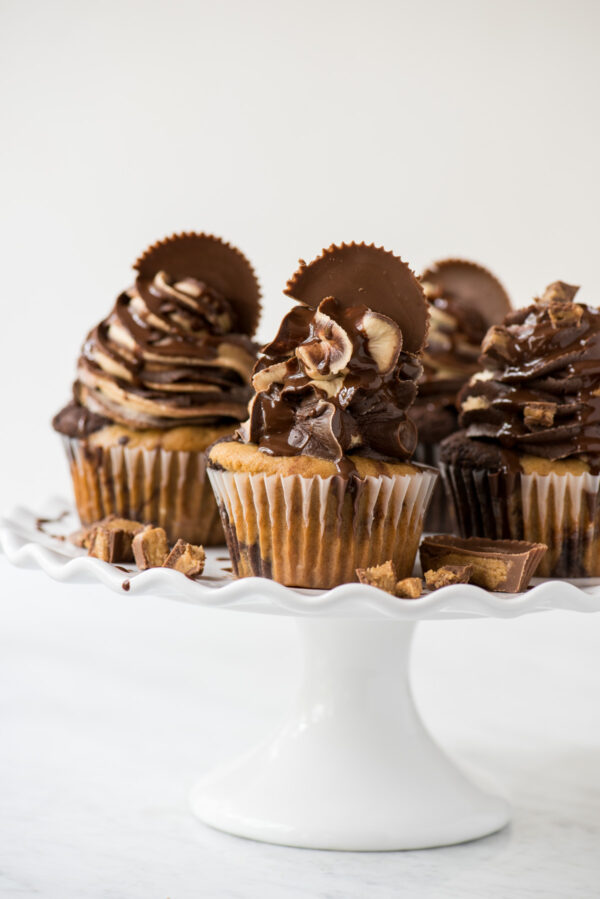 chocolate peanut butter reese’s cupcakes on white tray with white background