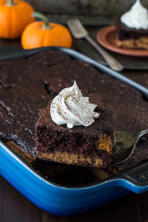 Easy Chocolate Pumpkin Magic Cake with a pumpkin pie layer and a chocolate cake layer! 