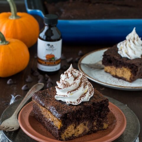 Easy Chocolate Pumpkin Magic Cake with a pumpkin pie layer and a chocolate cake layer!
