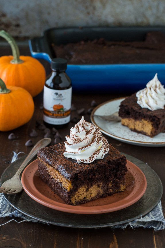 Easy Chocolate Pumpkin Magic Cake with a pumpkin pie layer and a chocolate cake layer! 