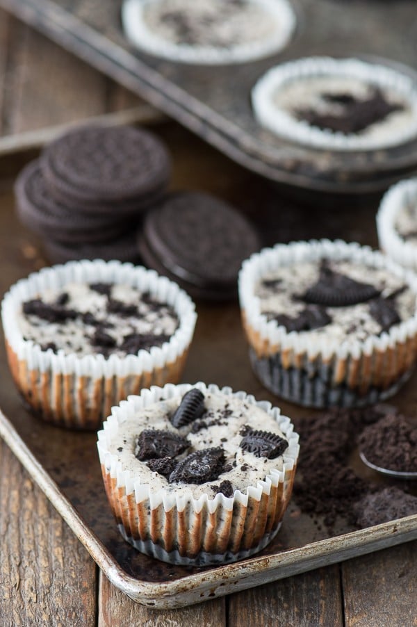 Mini Oreo Cheesecakes The First Year