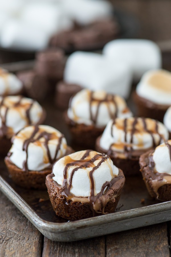 Turtle S'mores Bites  The First Year