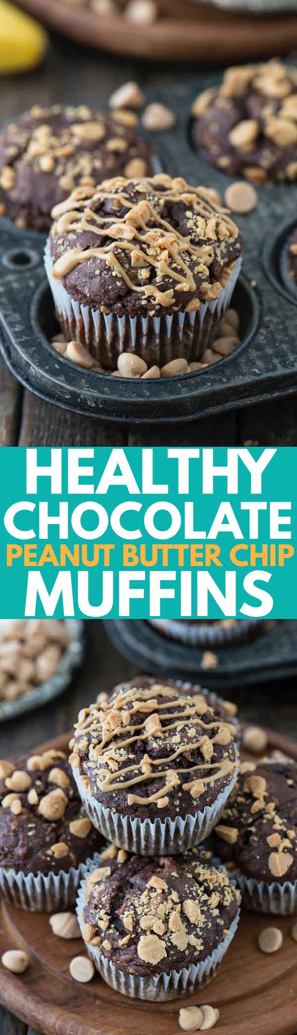 Healthy Chocolate Peanut Butter Chip Muffins made with greek yogurt, honey, and bananas!