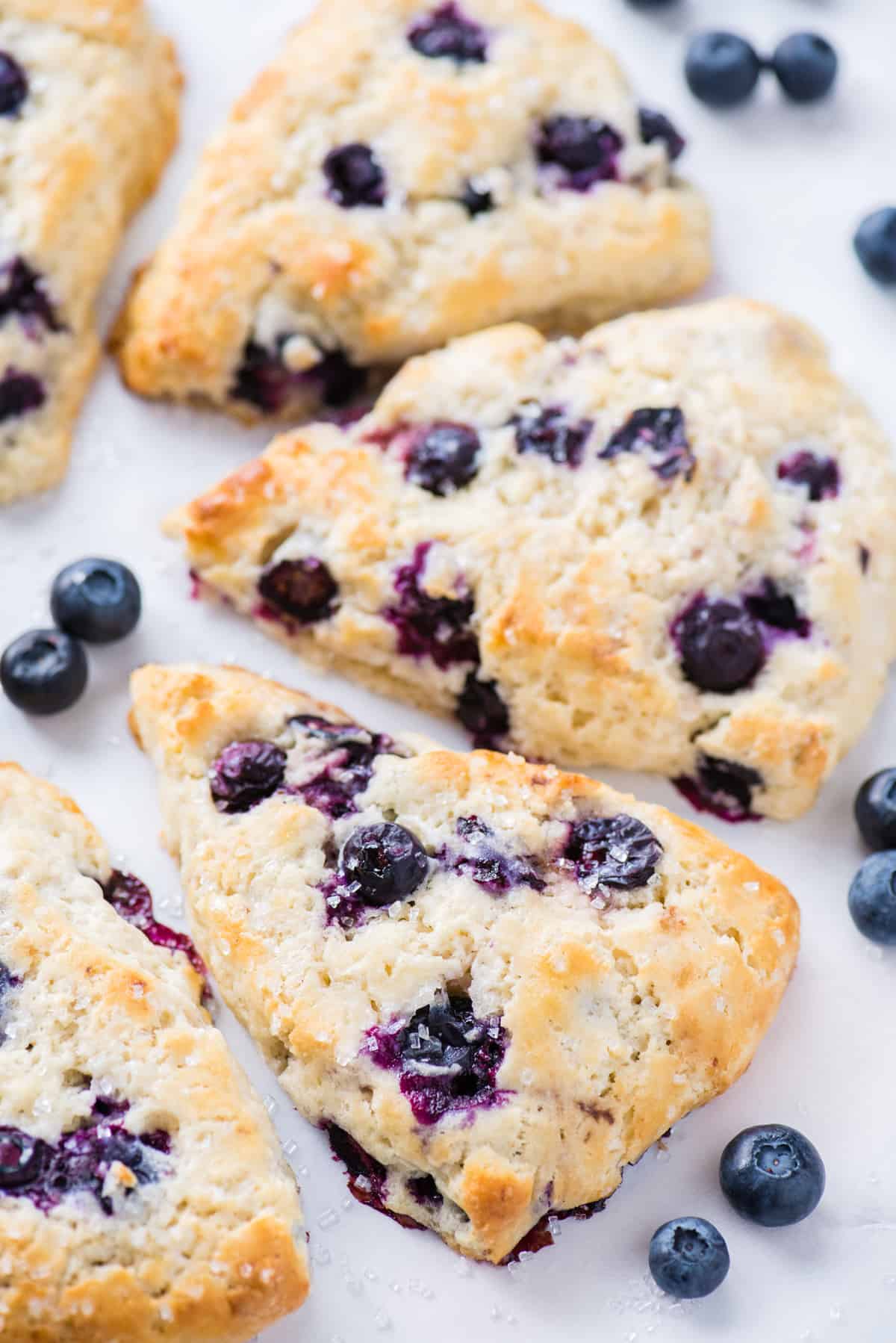 blueberry scones arranged in half circle on white background