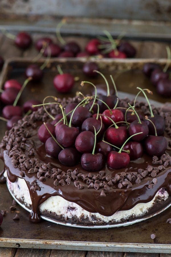 Fresh chocolate cherry cheesecake recipe with a chocolate crust, fresh cherries baked into the cheesecake, dripping with ganache.