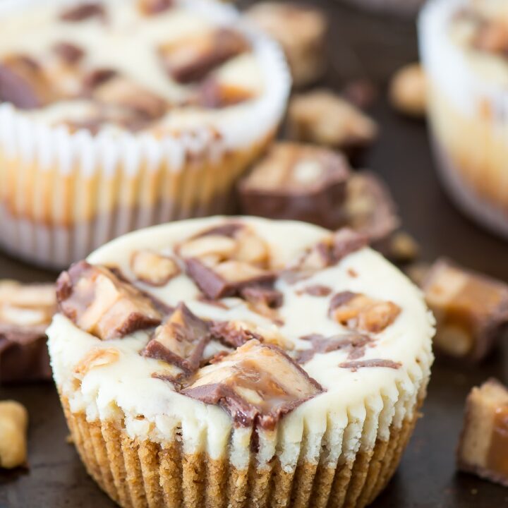 Mini Snicker's Cheesecakes