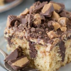Peanut Butter Chocolate Poke Cake - peanut butter cake, chocolate ganache, peanut butter cream cheese frosting mixed with chocolate frosting all topped with peanut butter cups!
