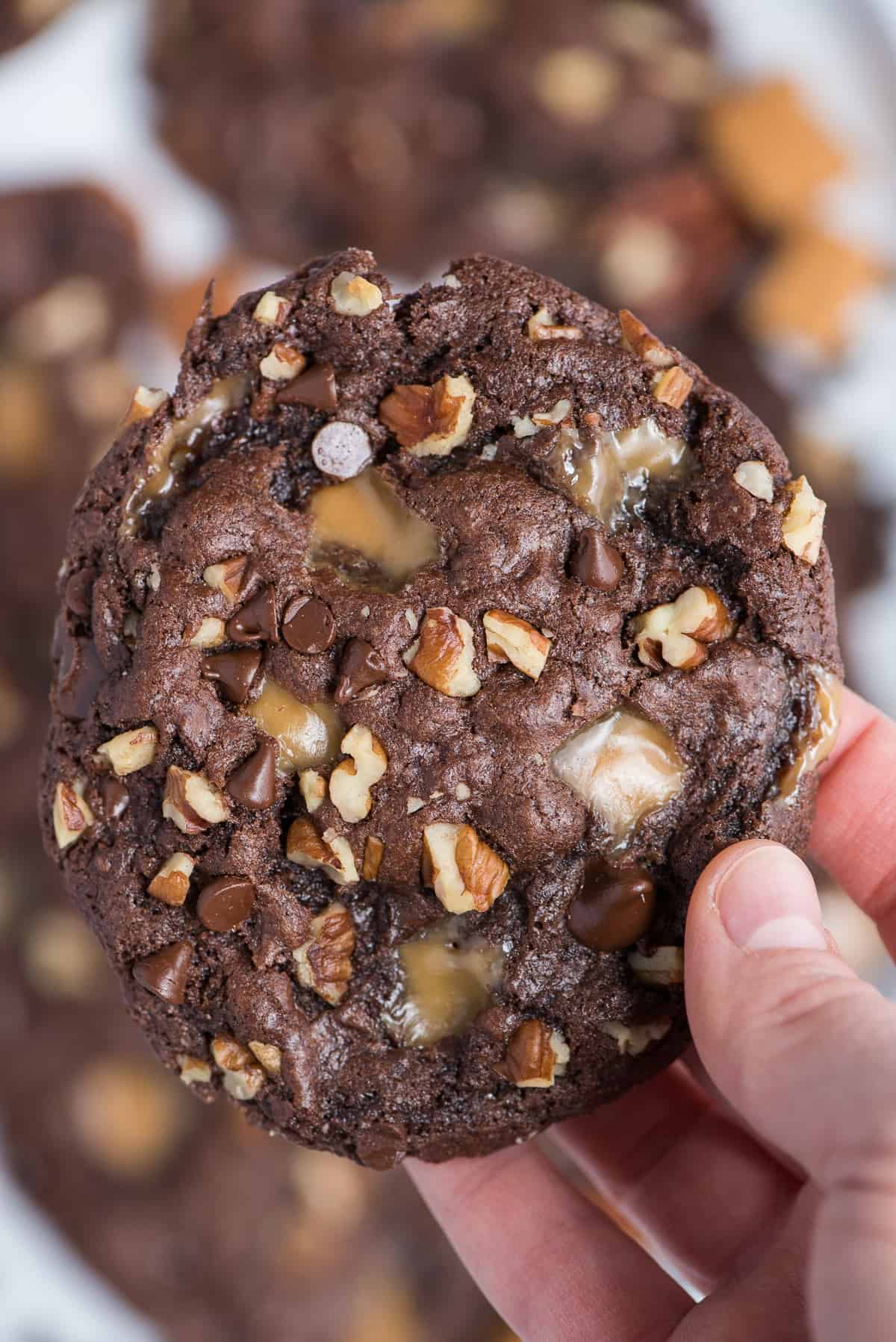 hand holding chocolate turtle cookie with caramel, pecans and chocolate chips