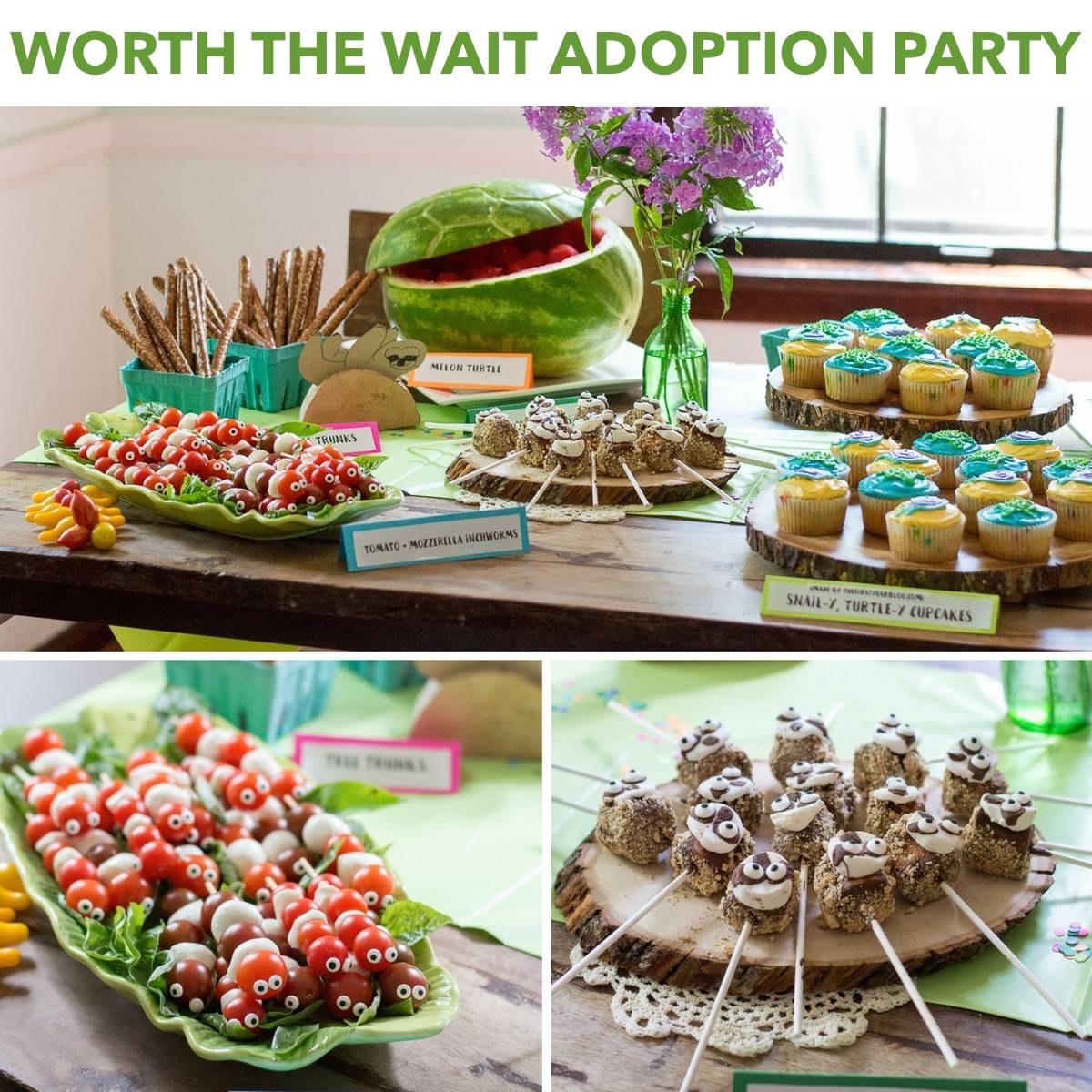Worth the wait theme adoption party! Featuring slow animals - sloths, inchworms, turtles and snails! Tons of cute food ideas!