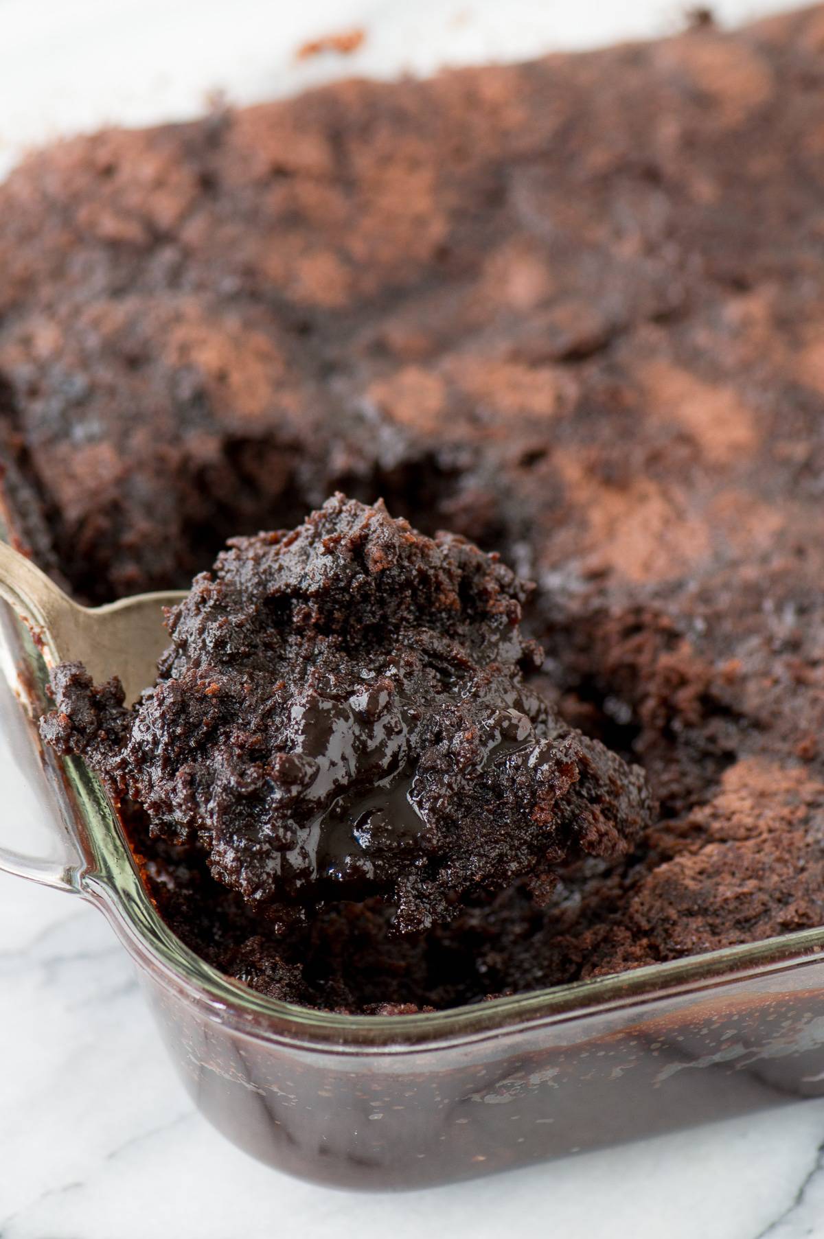 Pumpkin Brownie Pudding The First Year