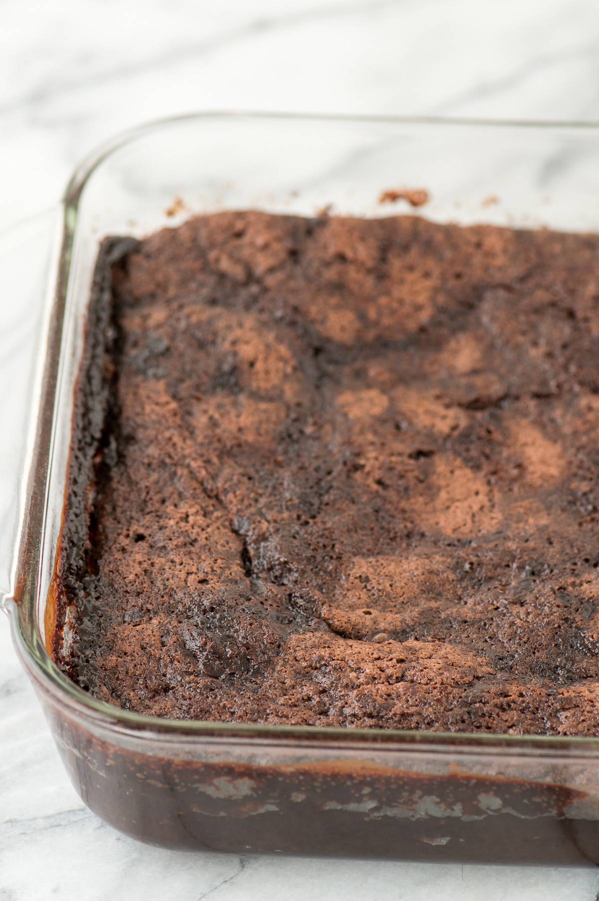 Pumpkin Brownie Pudding The First Year