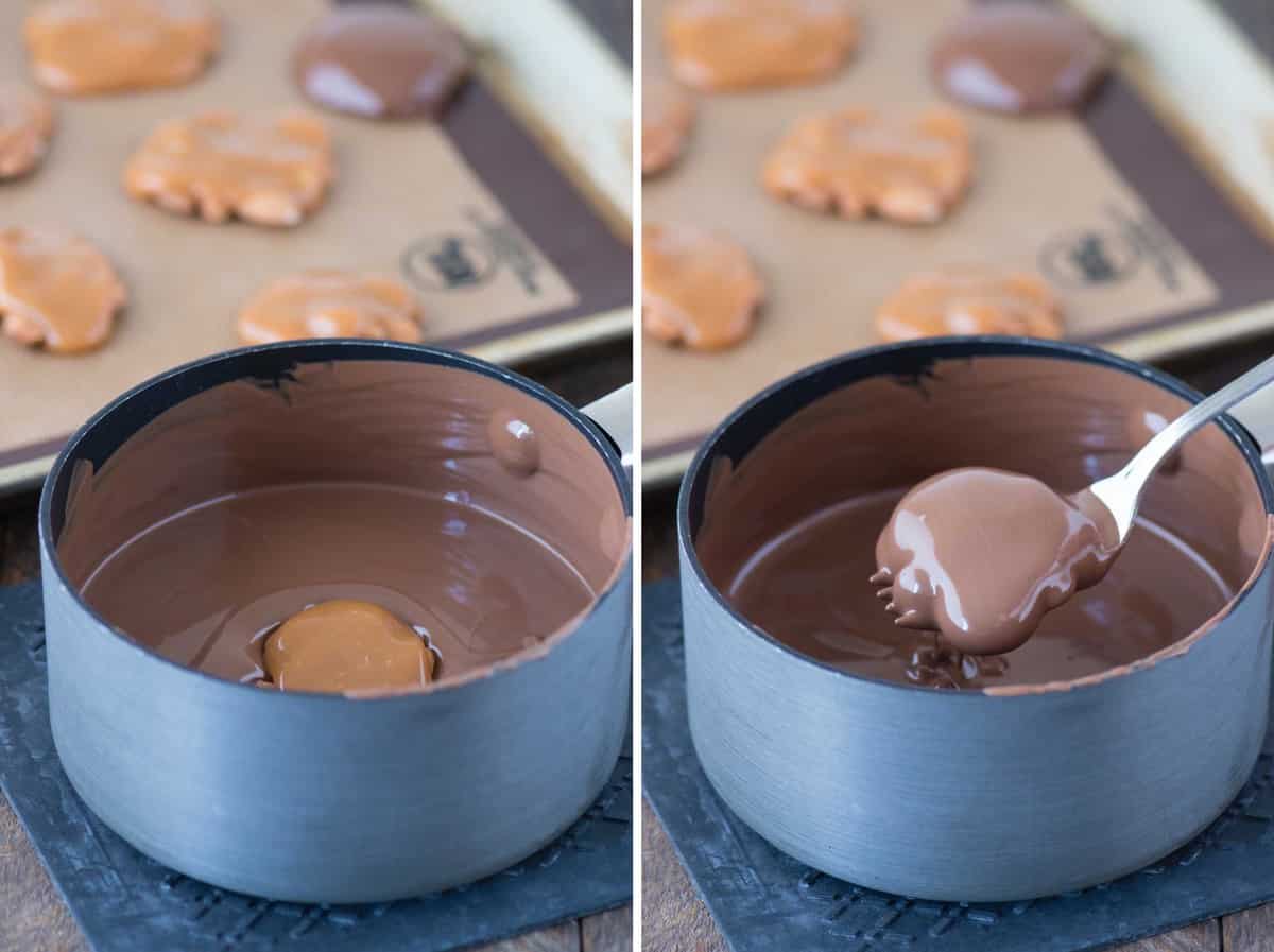 sticky paws being dipped in chocolate