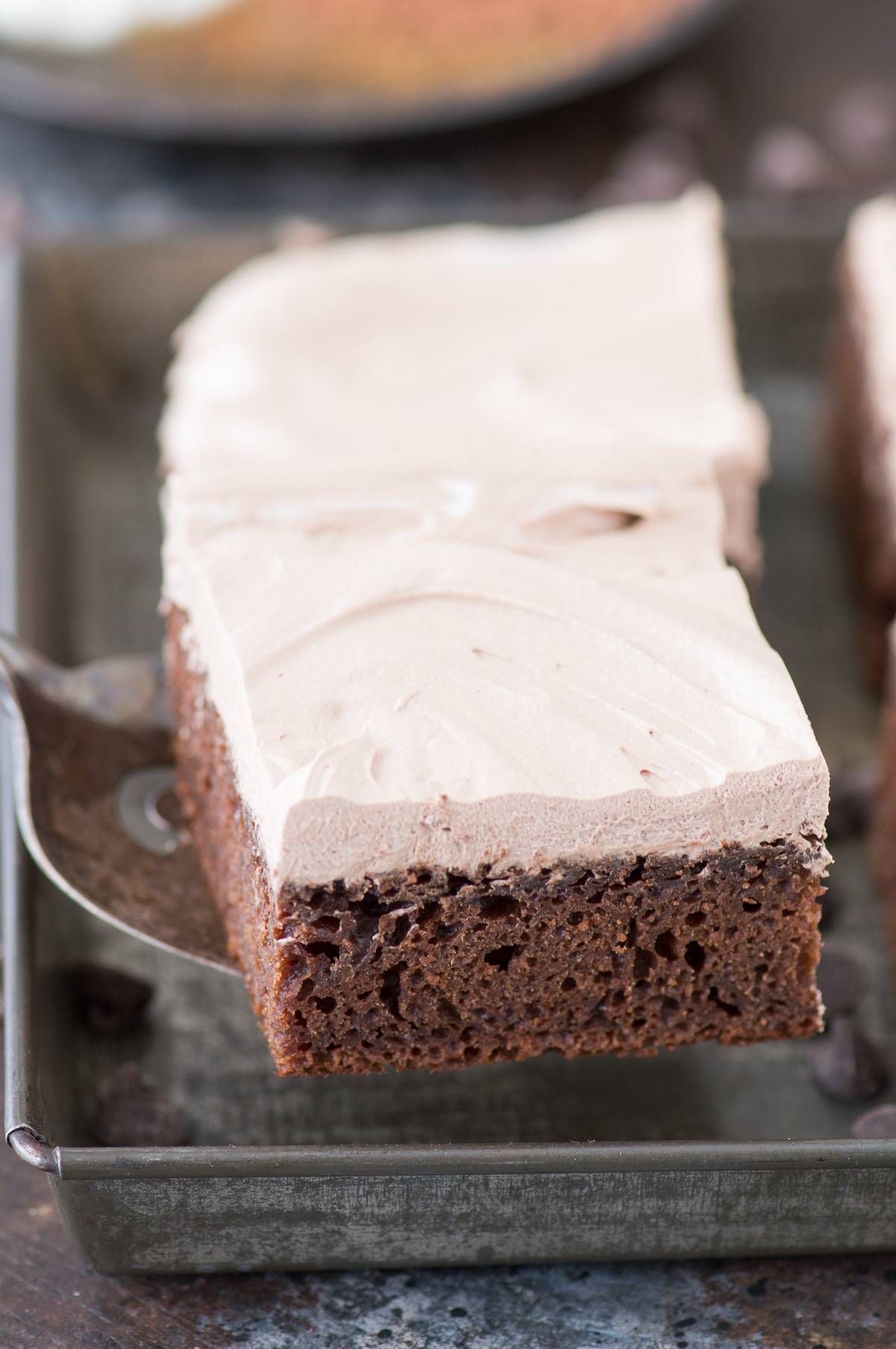 slice of healthy chocolate cake on metal spatula