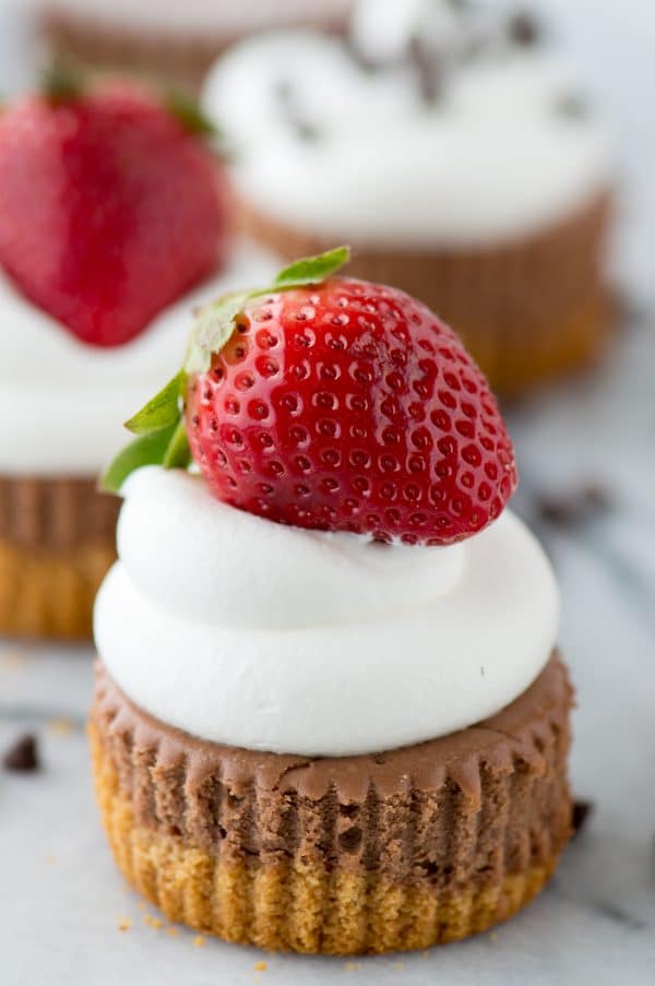 These are the BEST mini chocolate cheesecakes! 15 minutes to bake and you can add any toppings you want. Learn our tricks for making perfect chocolate cheesecakes.