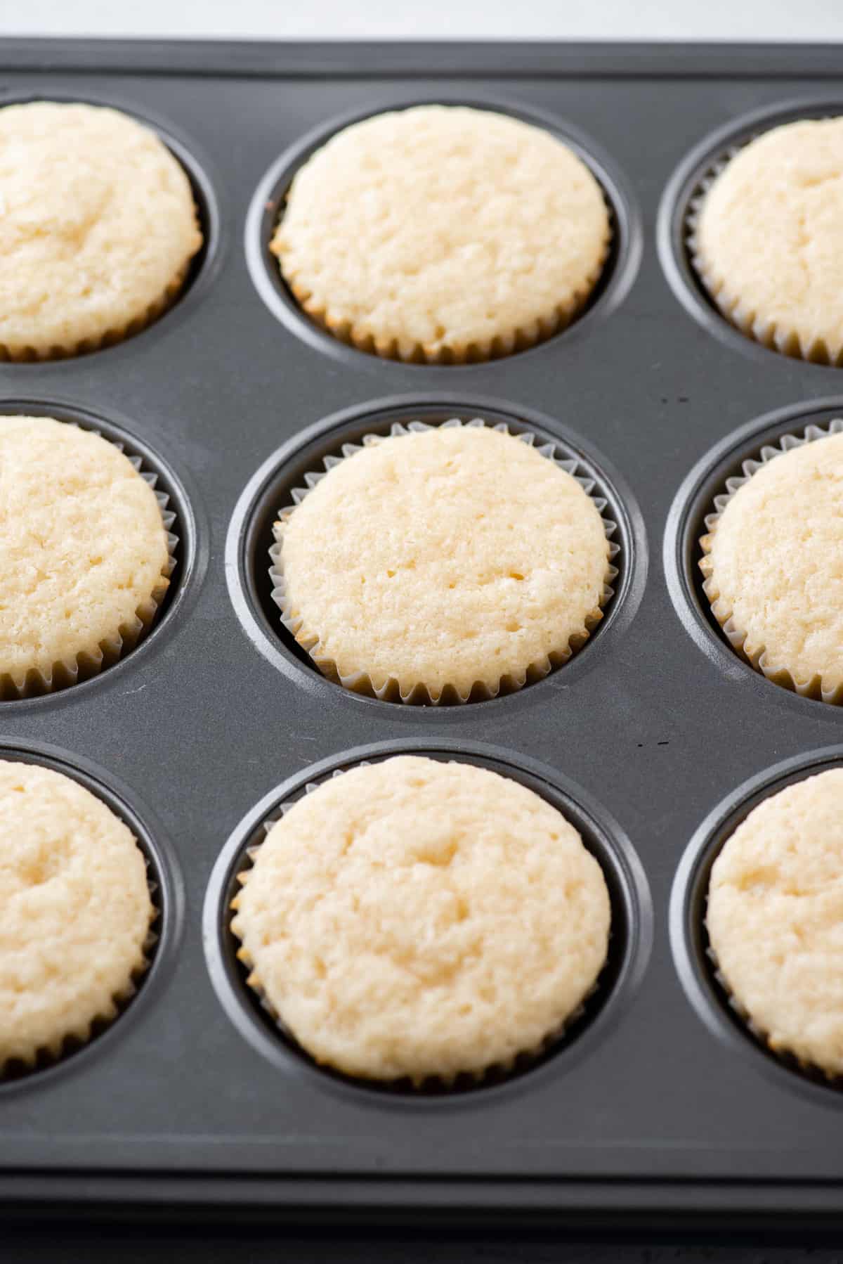 unfrosted baked vanilla cupcakes in cupcake pan