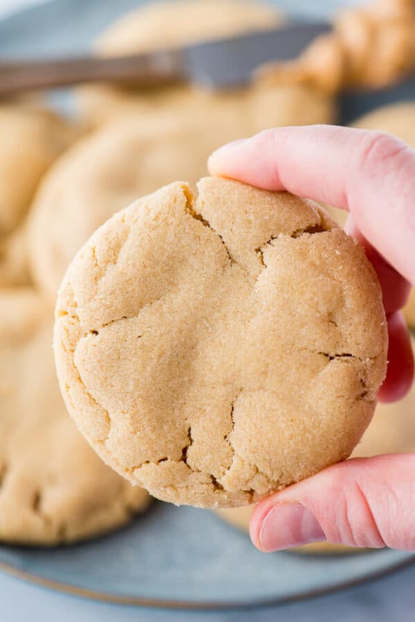 hand holding peanut butter cookie