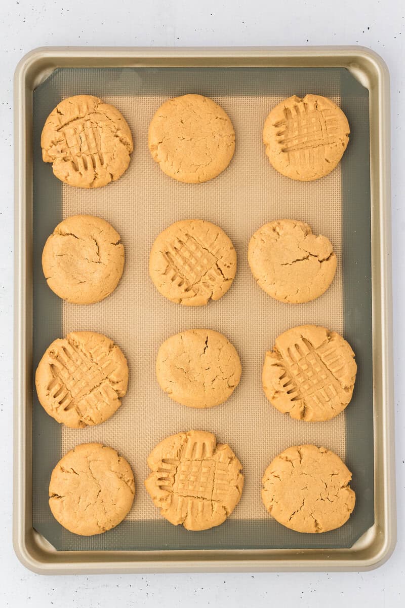 A baking sheet with twelve golden brown peanut butter cookies, some with signature crisscross fork marks, arranged in neat rows on a silicone baking mat.