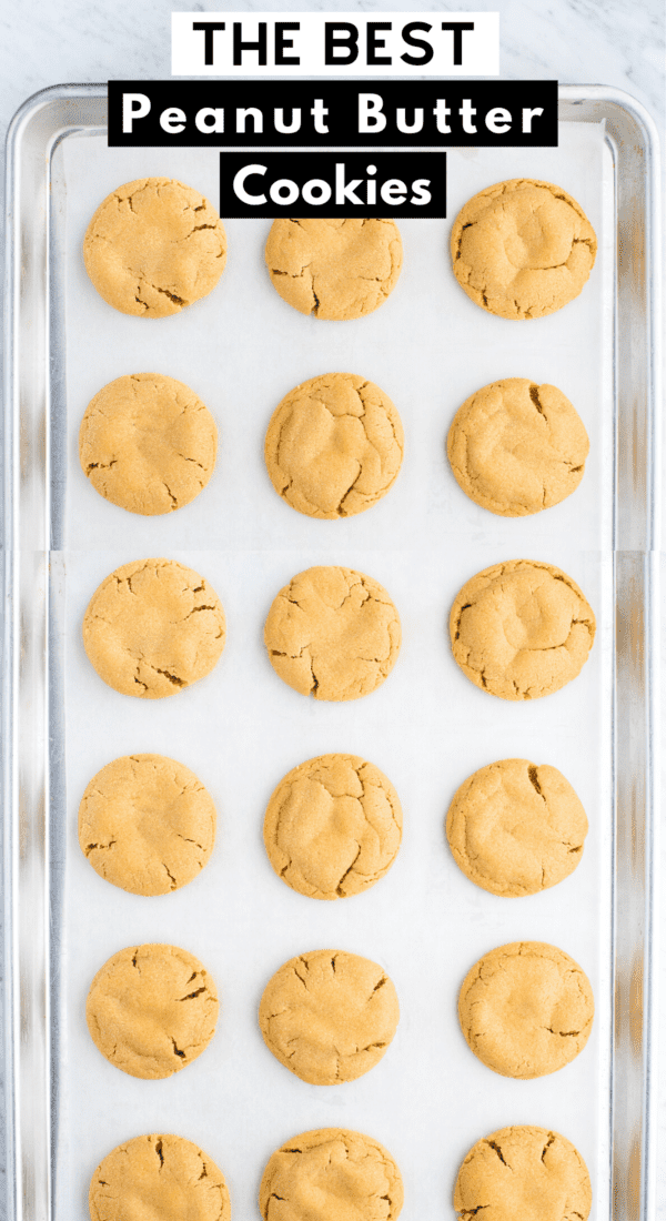 peanut butter cookies evenly spaced on white parchment paper on baking sheet with text overlay