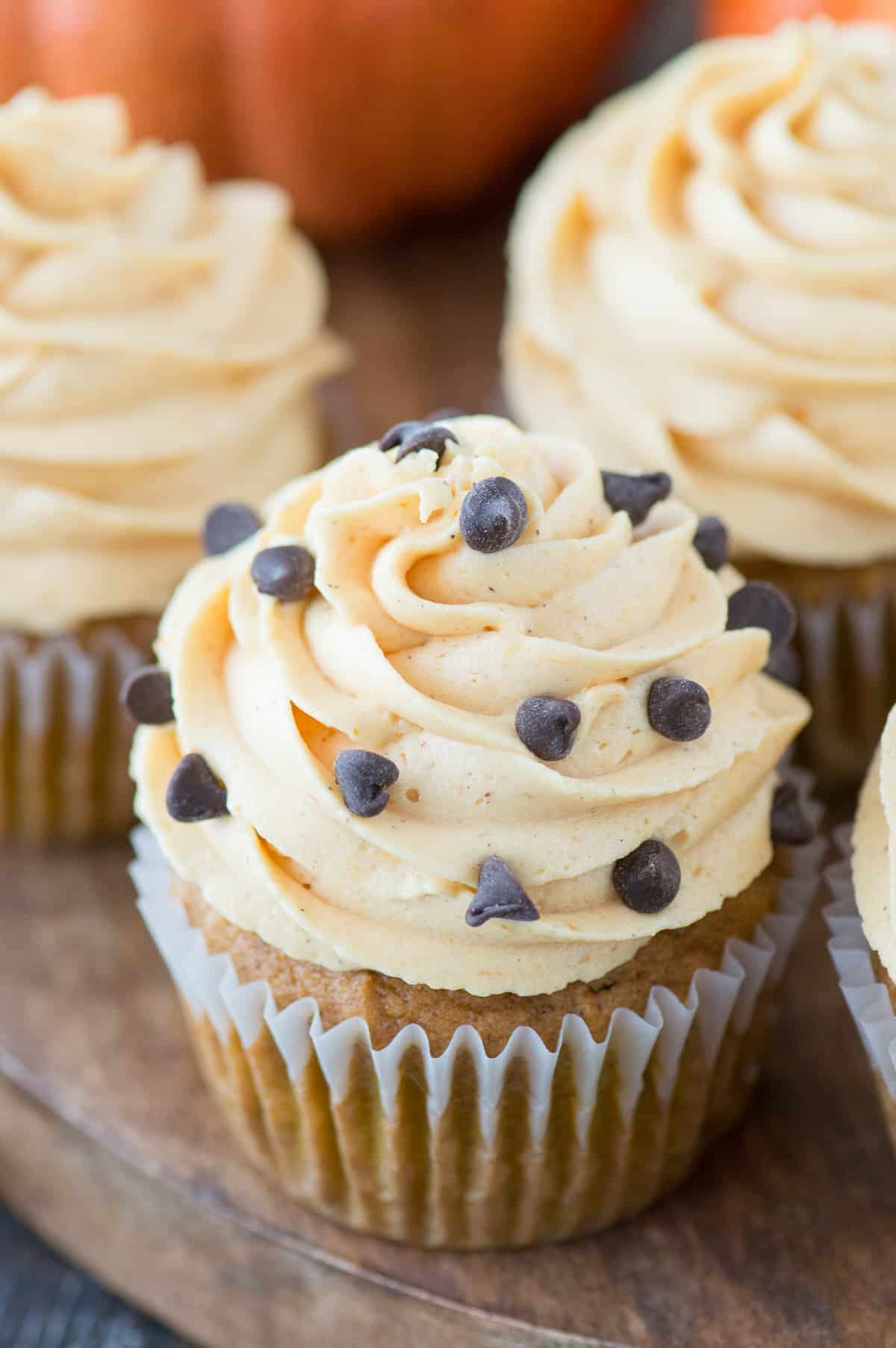 pumpkin cupcake piped with pumpkin frosting with mini chocolate chips on wood background