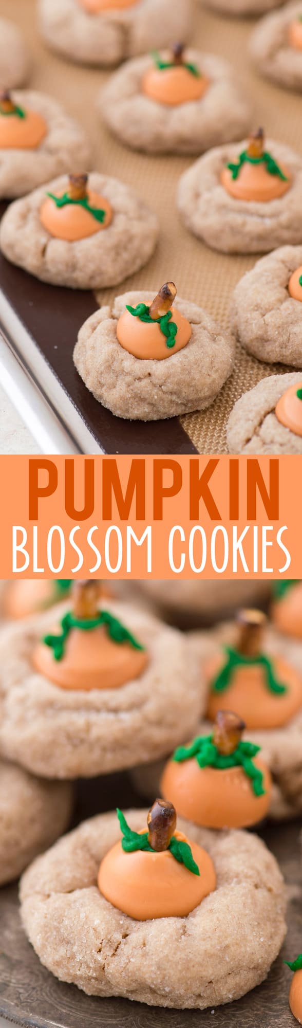 Pumpkin Blossom Cookies