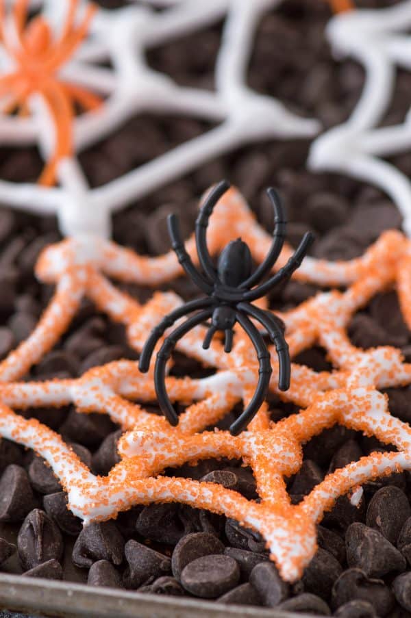 plastic spider web