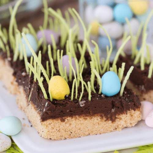 Edible Easter Grass – Schmidt's Fudge Haus