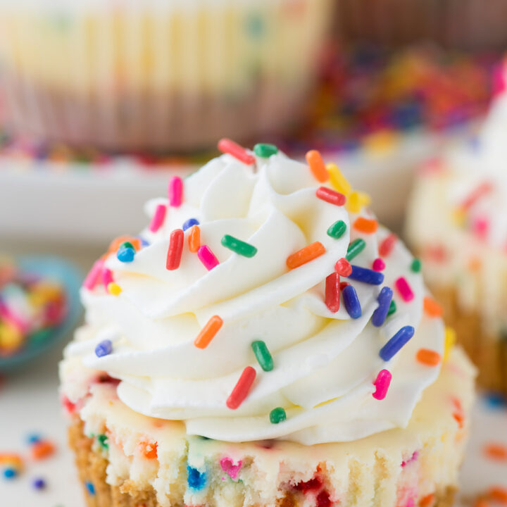 Mini Funfetti Cheesecakes