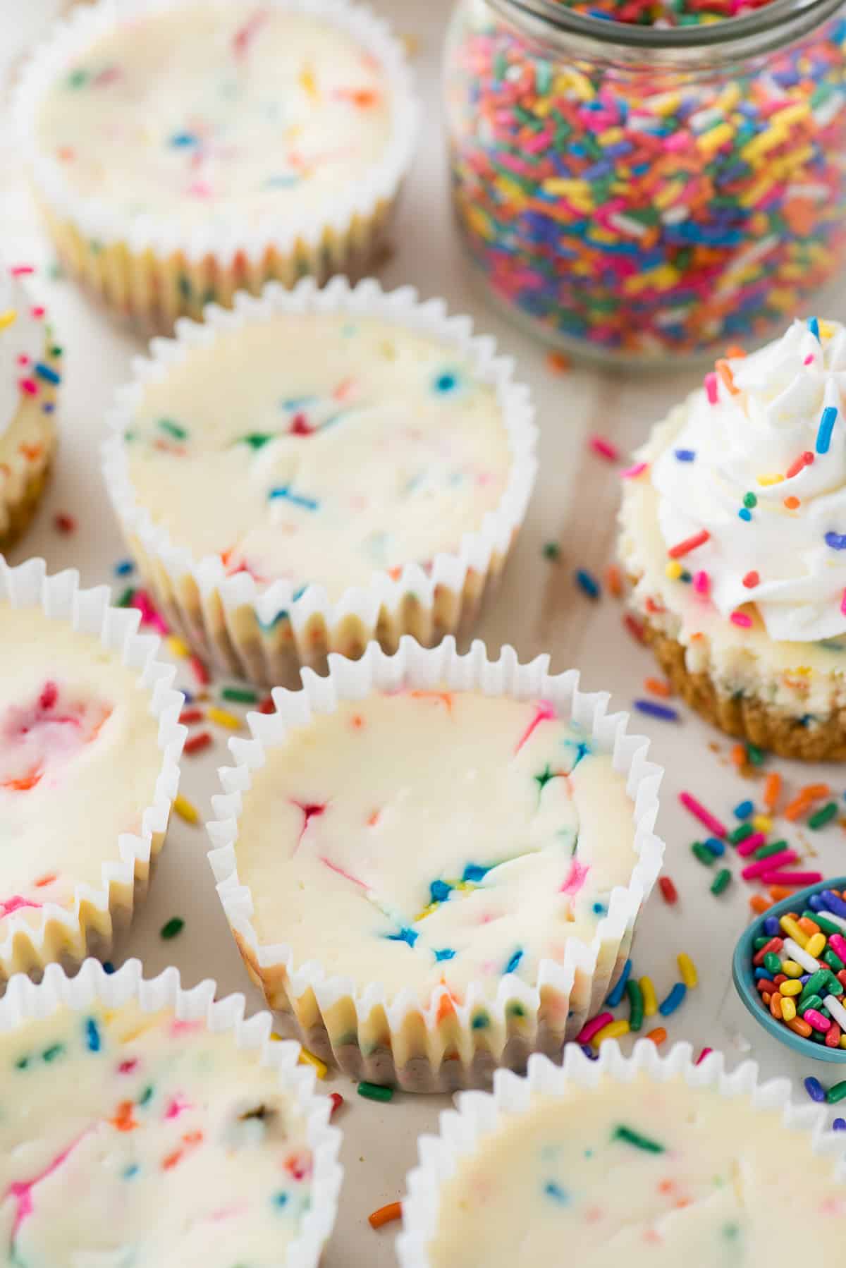 mini funfetti cheesecakes in a row with rainbow colored sprinkles on top