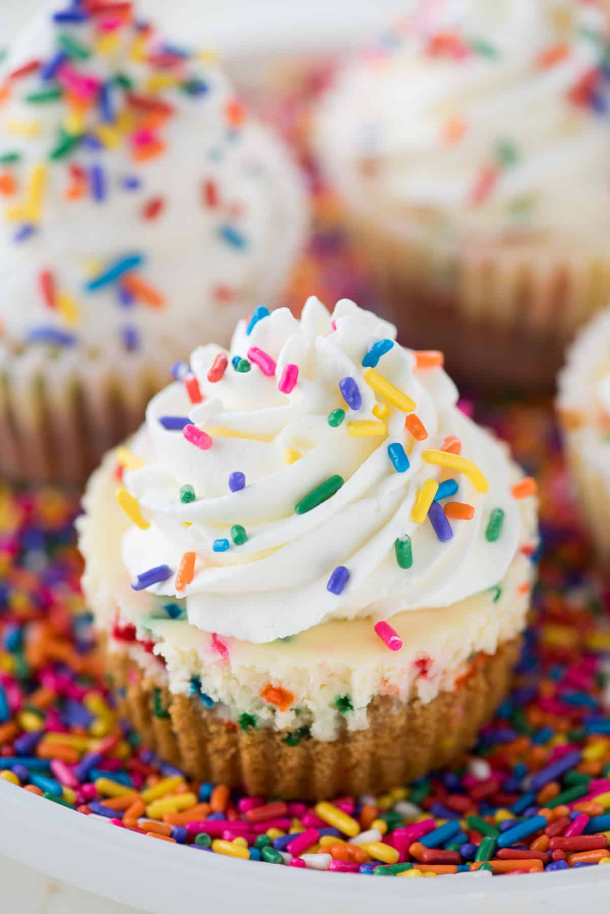 mini funfetti cheesecake with rainbow colored sprinkles on top sitting on a plate of sprinkles