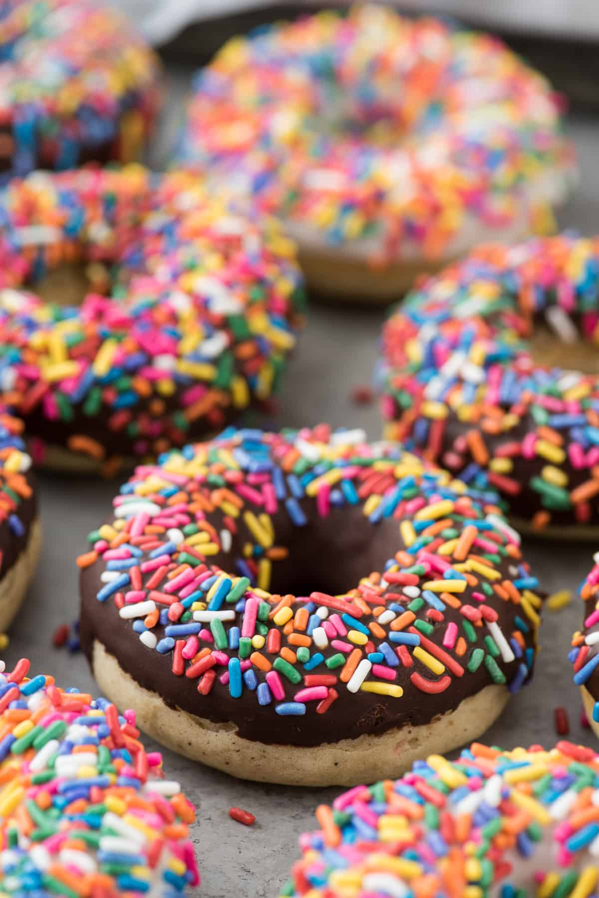 baked donut with chocolate frosting and colorful sprinkles