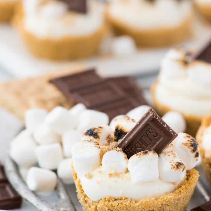 No Bake S'mores Cheesecake Cups