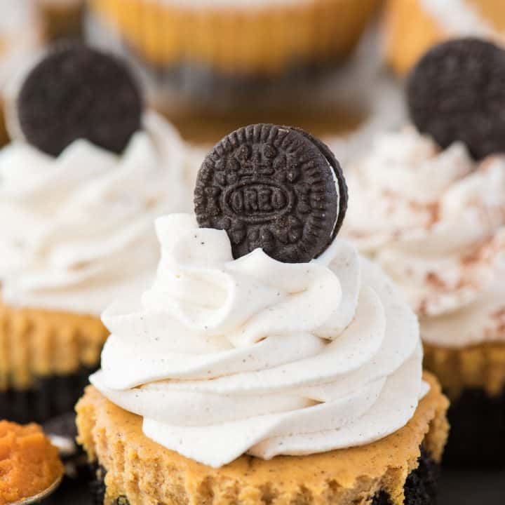 Mini Pumpkin Cheesecakes