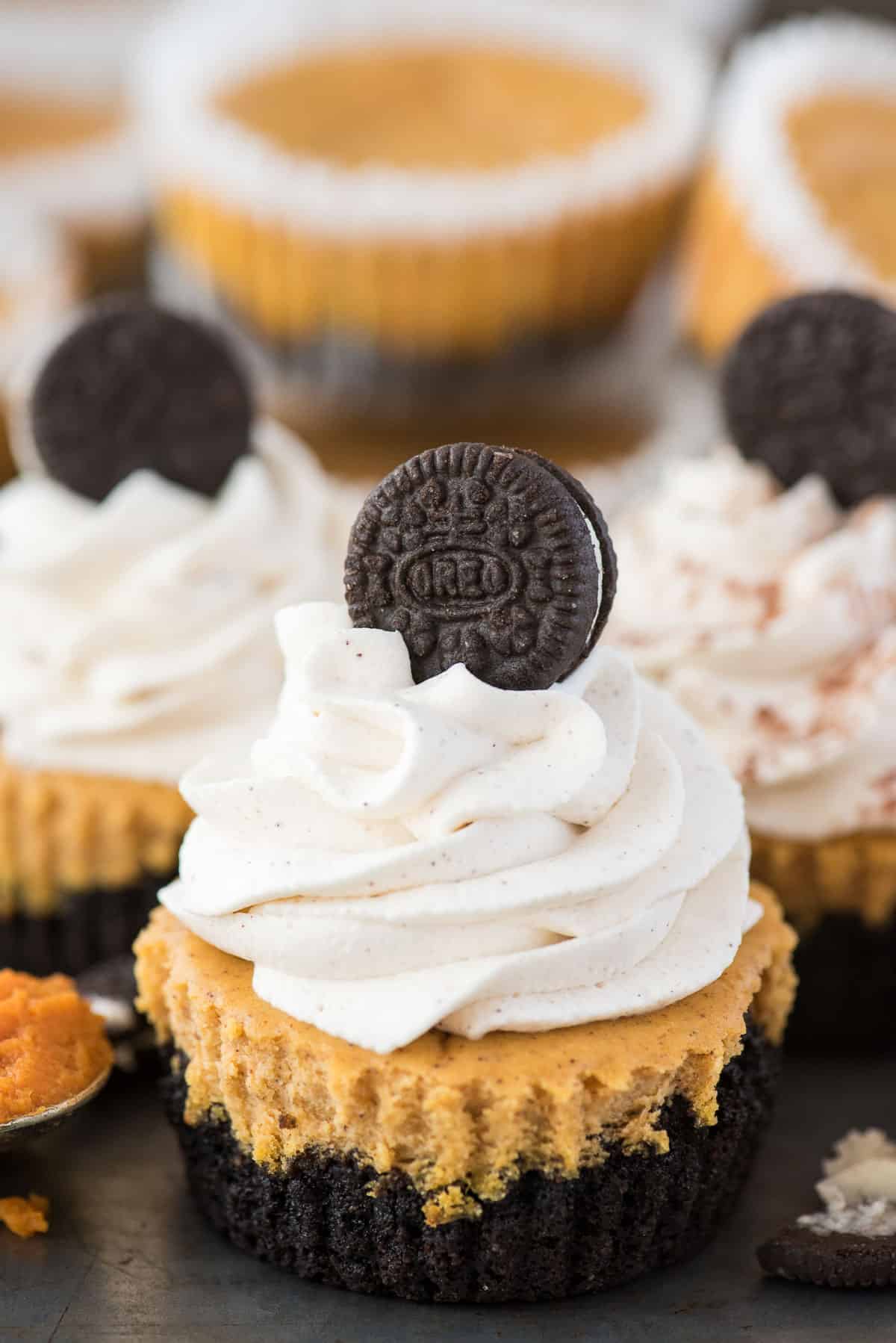 mini pumpkin cheesecake with oreo cookie crust with swirl of whipping cream and mini oreo on top