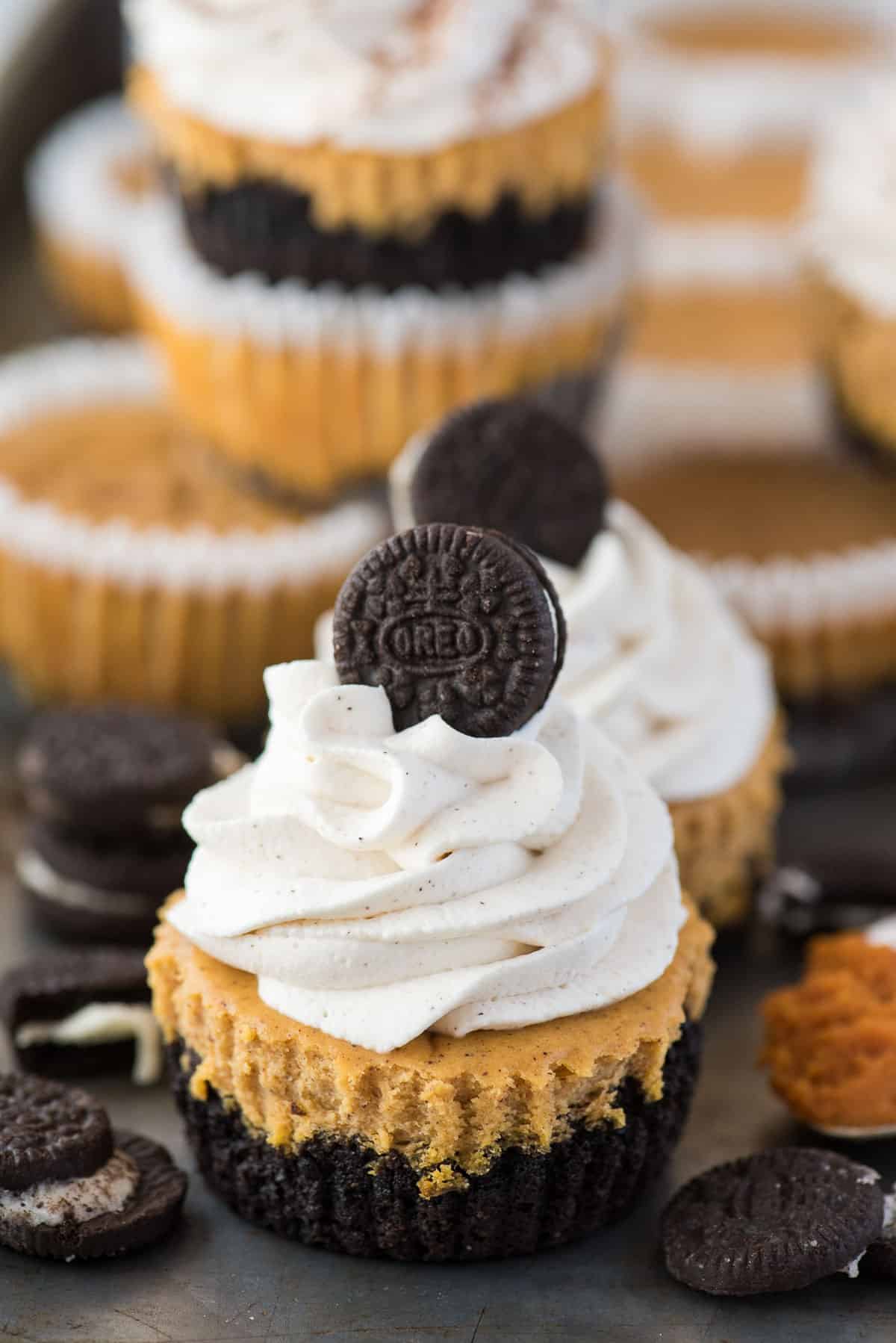 mini pumpkin cheesecake with oreo cookie crust with swirl of whipping cream and mini oreo on top