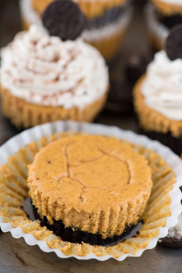 Mini pumpkin cheesecakes made in a muffin pan with an OREO crust! Also includes directions for a graham cracker crust. Easy mini pumpkin cheesecake recipe to make for fall or thanksgiving dessert! mini pumpkin cheesecake with oreo cookie crust in muffin liner