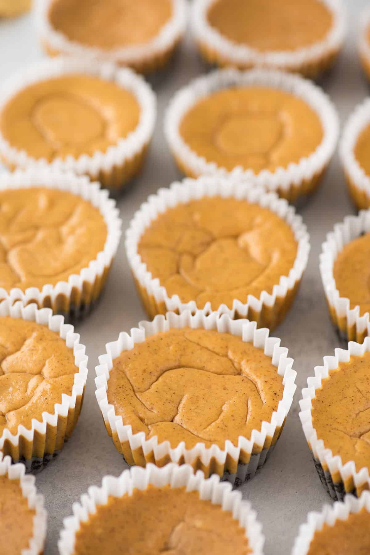 plain mini pumpkin cheesecakes in a row on gray background